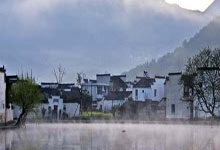 茶香氤氲：深圳各区茶室文化探秘记